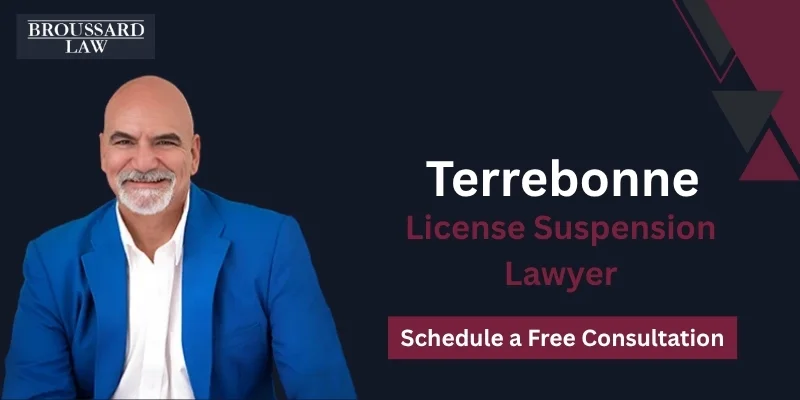 best license suspension lawyer in terrebonne